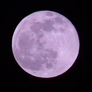 Meet your Posher, Juliette